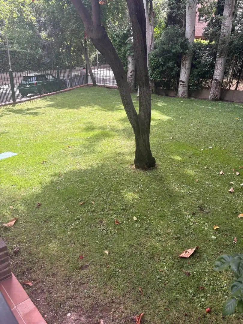 Jardí de Estudi de lloguer en Madrid amb Calefacció, Rentadora i Microones