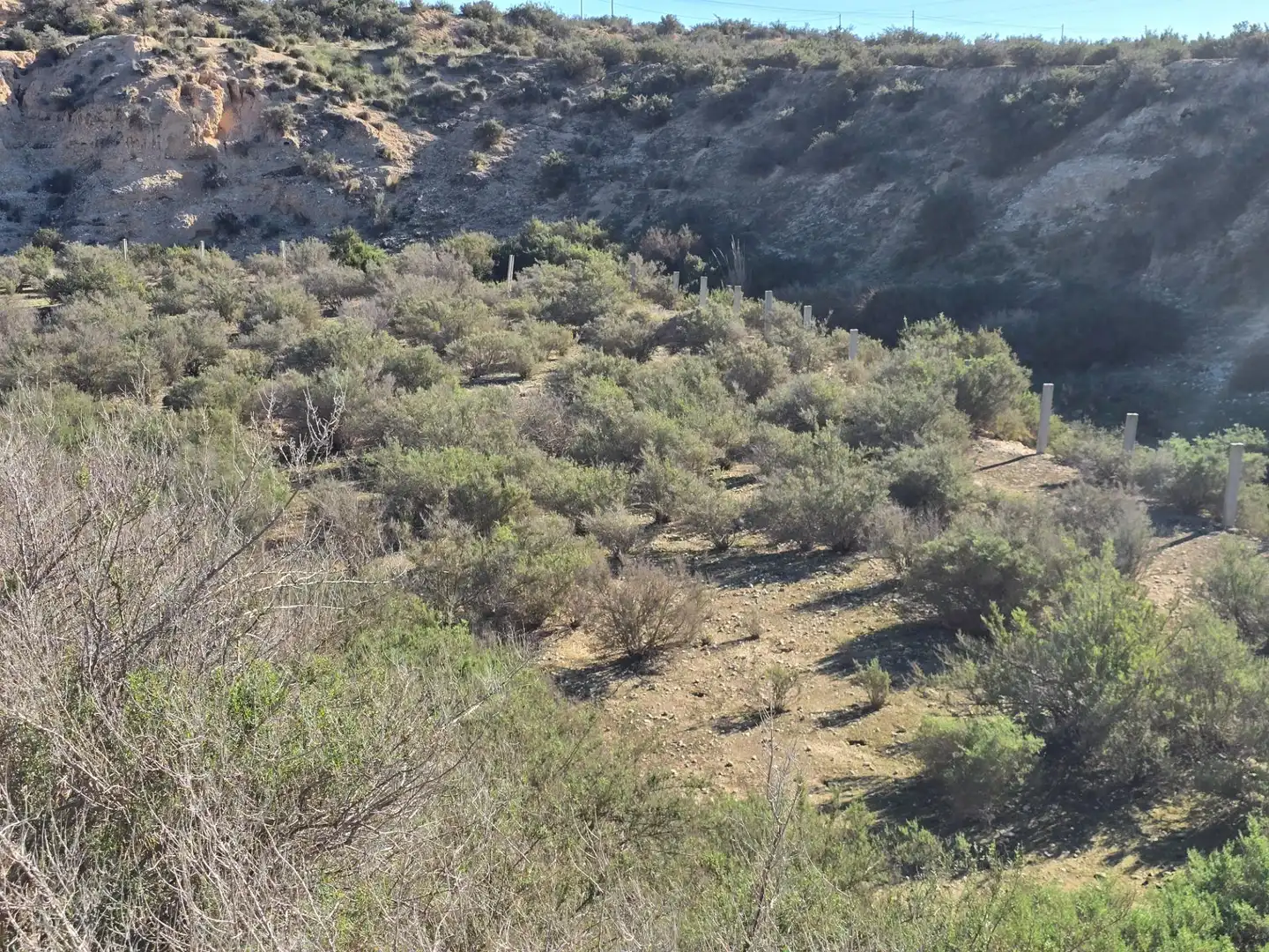 Industrial land for sale in Crevillent, imagen 10