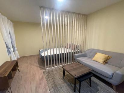 Study to rent in Campamento