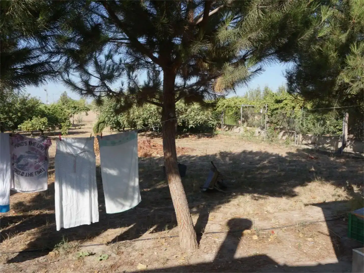 Jardí de Finca rústica en venda en  Murcia Capital amb Aire condicionat i Piscina