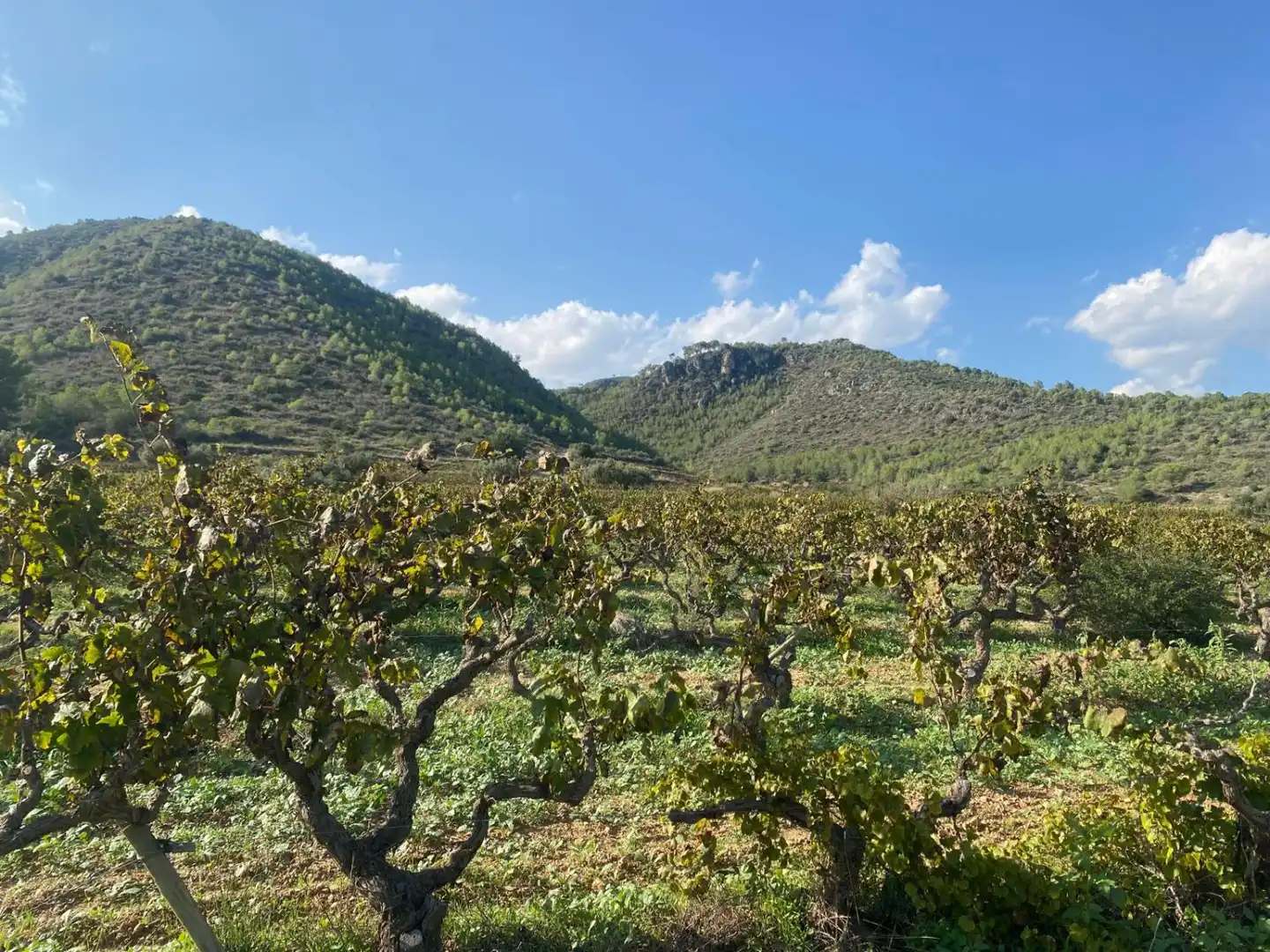 Casa rústica en venta en Albinyana, imagen 17