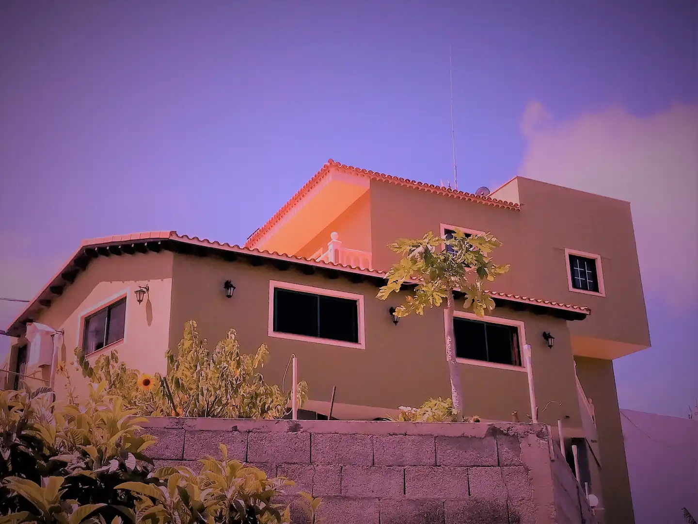 Exterior view of Houses for sale in La Guancha  with Private garden, Terrace and Storage room