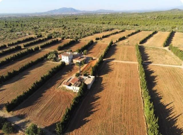 Finca rústica en Venta en Diseminats en Camarles