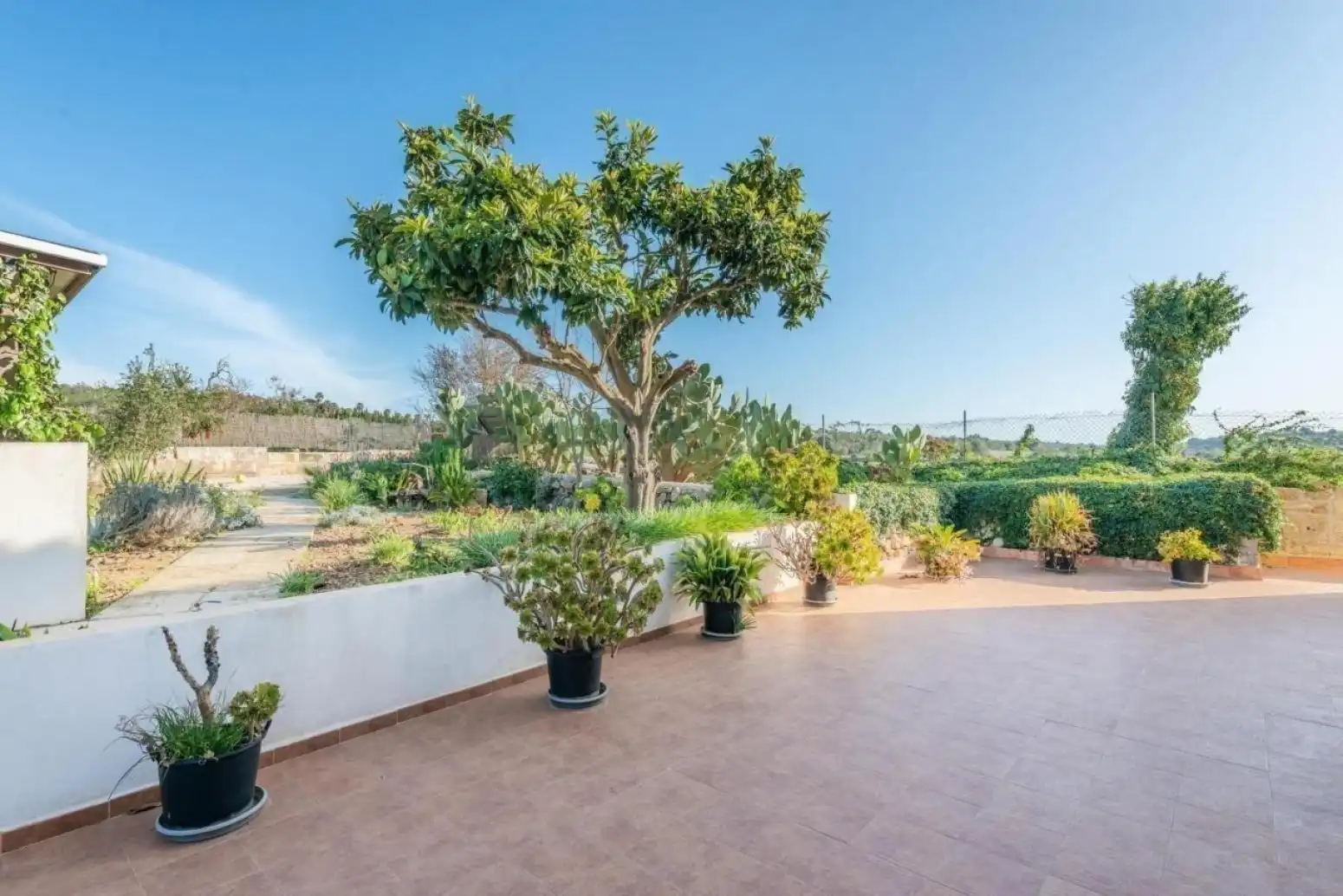 House with terrace to rent in Ariany - Camino Joan, imagen 16