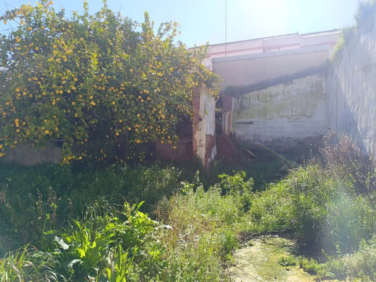 Terreni e lotti in vendita a Almendralejo, imagen 3