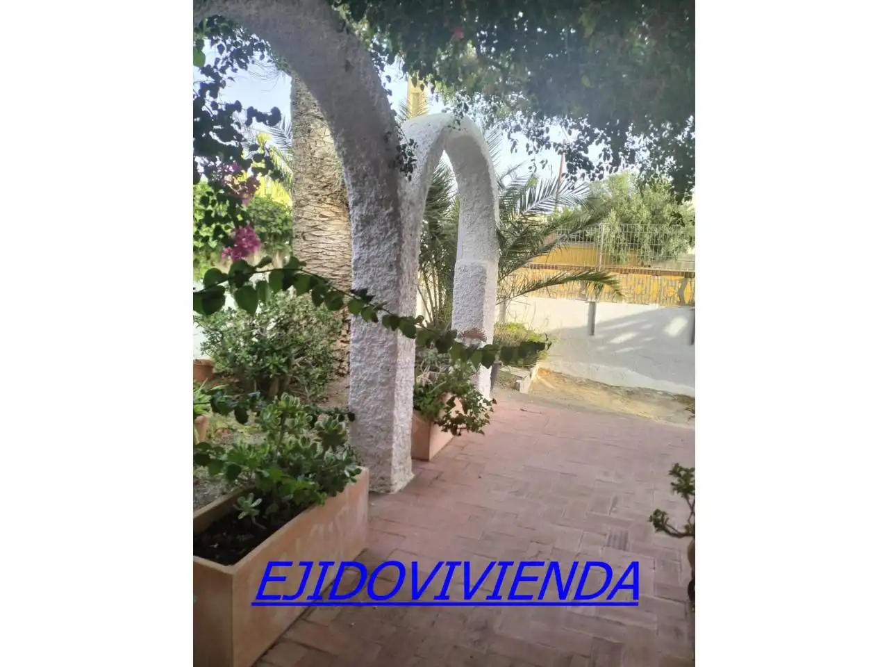 Jardín de Casa o chalet en venta en El Ejido con Jardín privado y Terraza