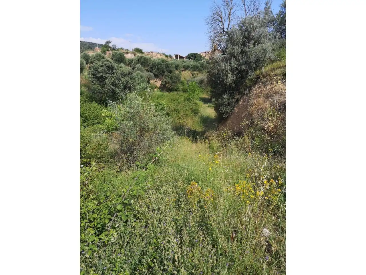 Terreni e lotti in vendita a Poligono COSTERA, imagen 4