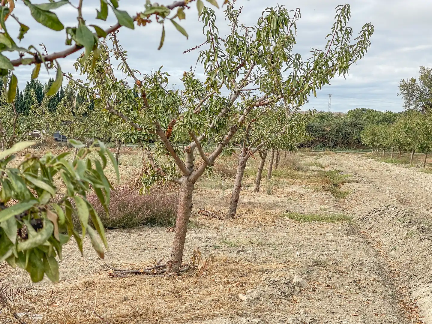 Terreno en venta en Alhendín