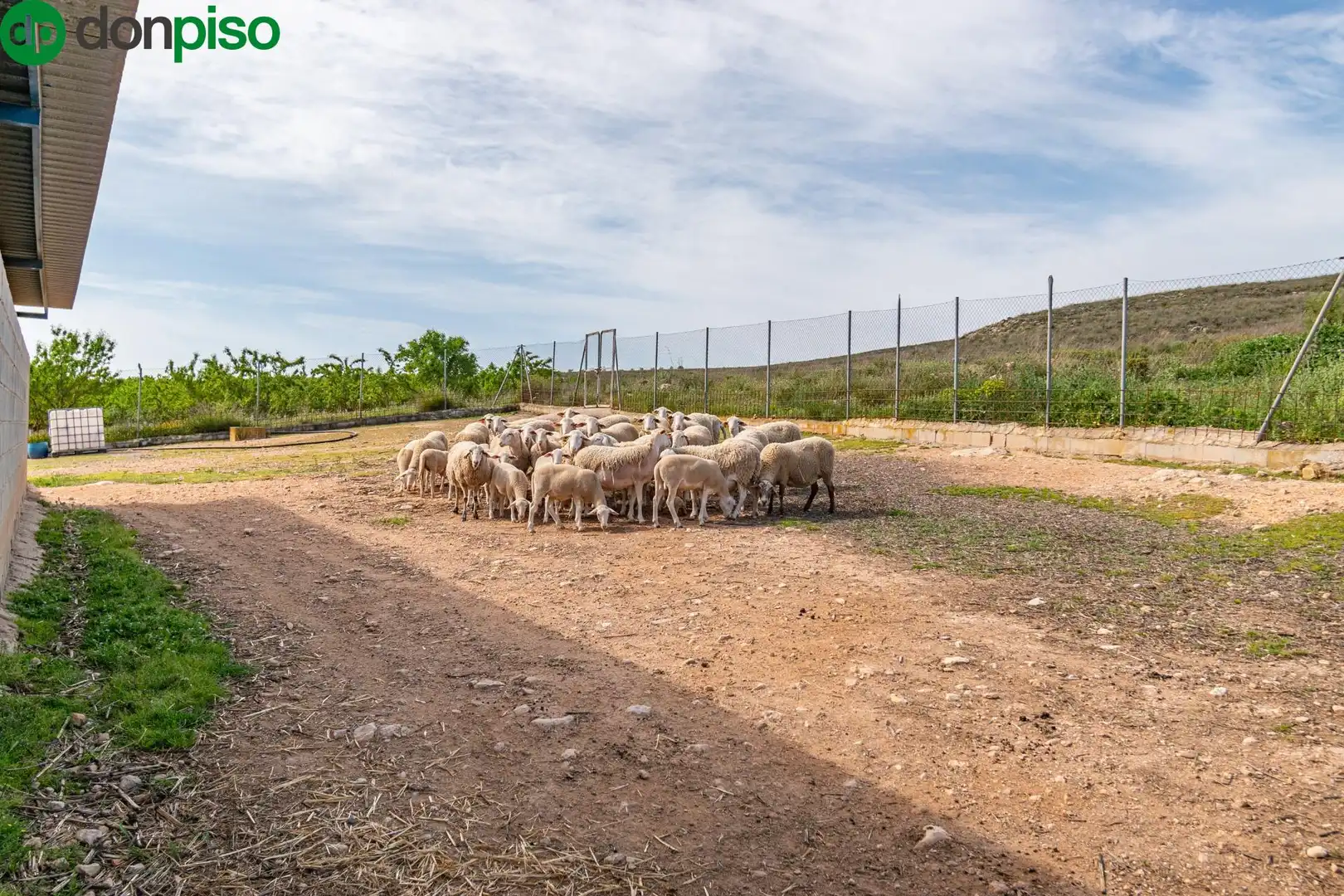 Terreni e lotti in vendita a Pago de las manguetas, imagen 48