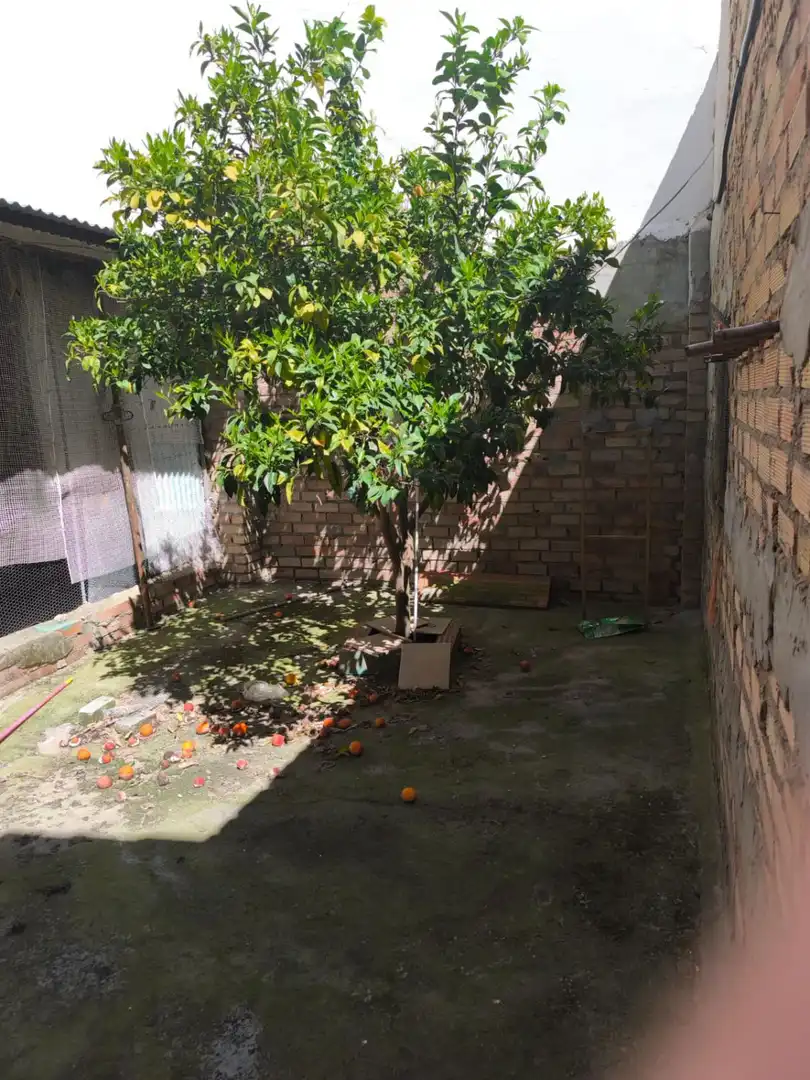 Jardín de Residencial en venta en Pruna