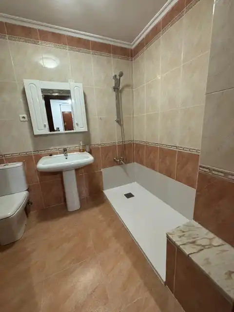 Bathroom of Apartments for rent in Centro