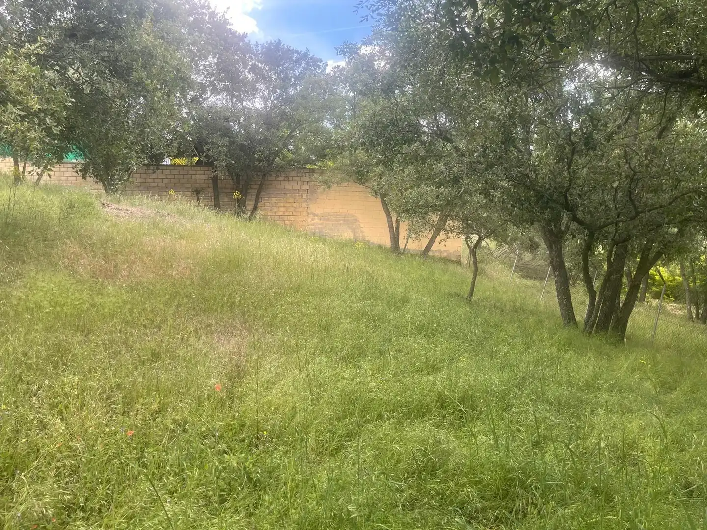 Terrain résidentiel à vendre à Calle ALAMO, imagen 4
