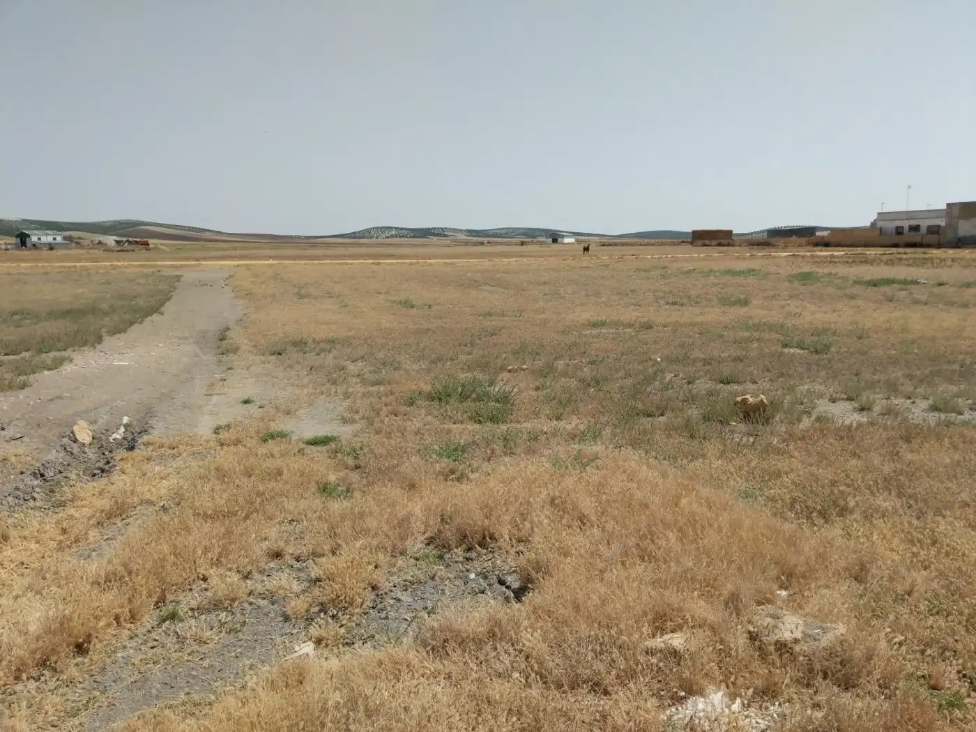 Terreni e lotti in vendita a Carretera Carmona 52, imagen 17
