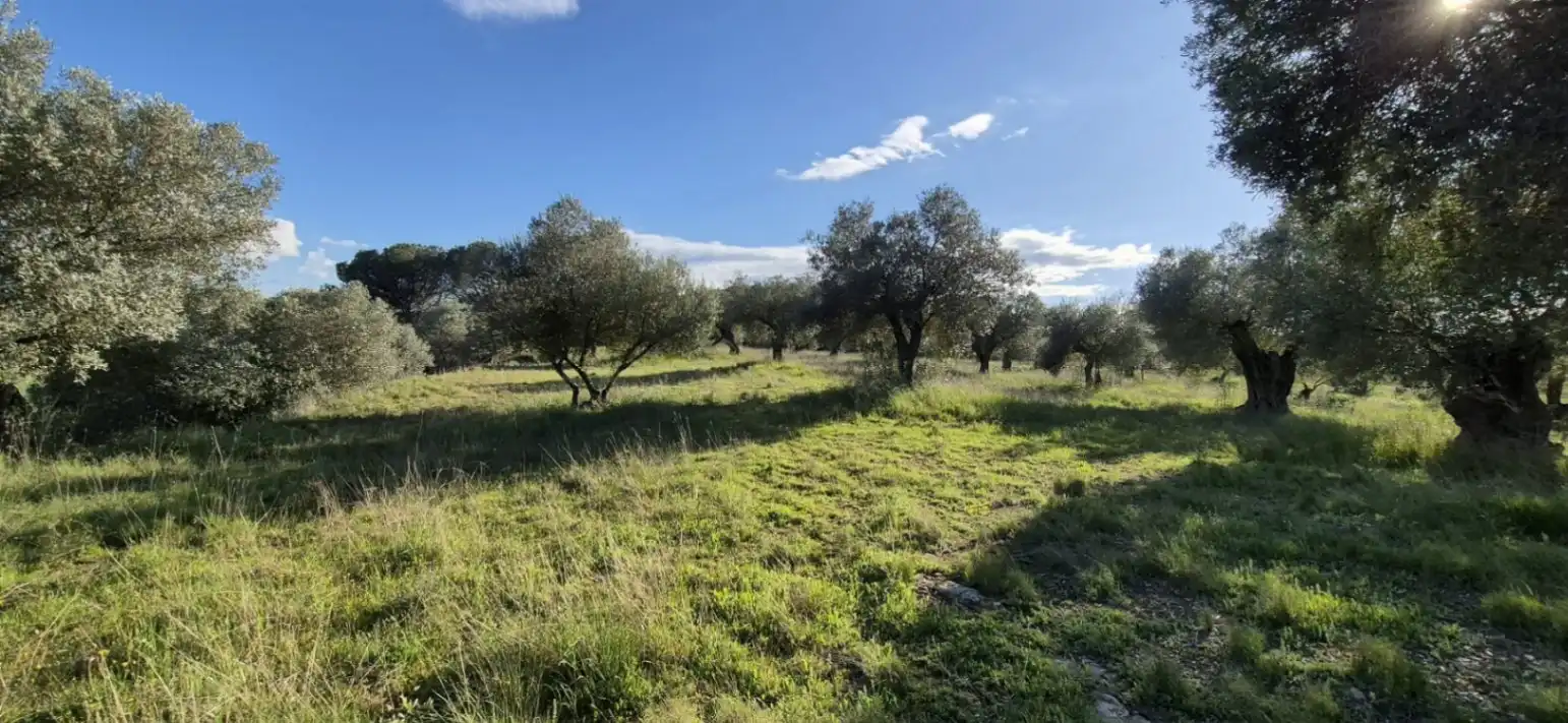 Residencial en venta en Ullastret
