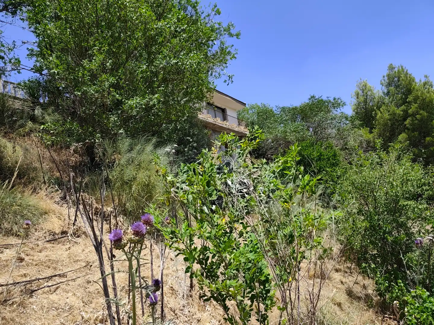 Casa o xalet en venda en Illana amb Jardí privat, Terrassa i Piscina