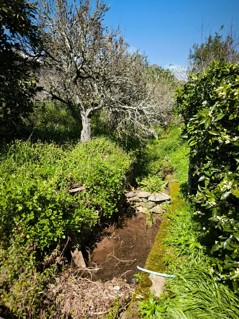 Rural land for sale in Camino el Roque 4, imagen 6