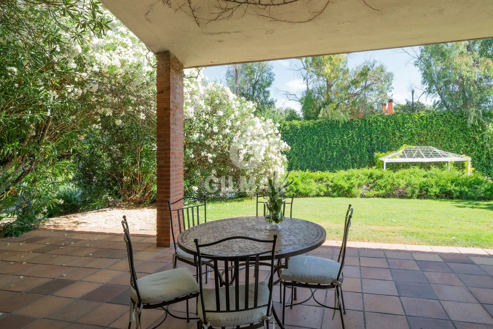 Jardín de Casa o chalet en venta en Algete con Piscina