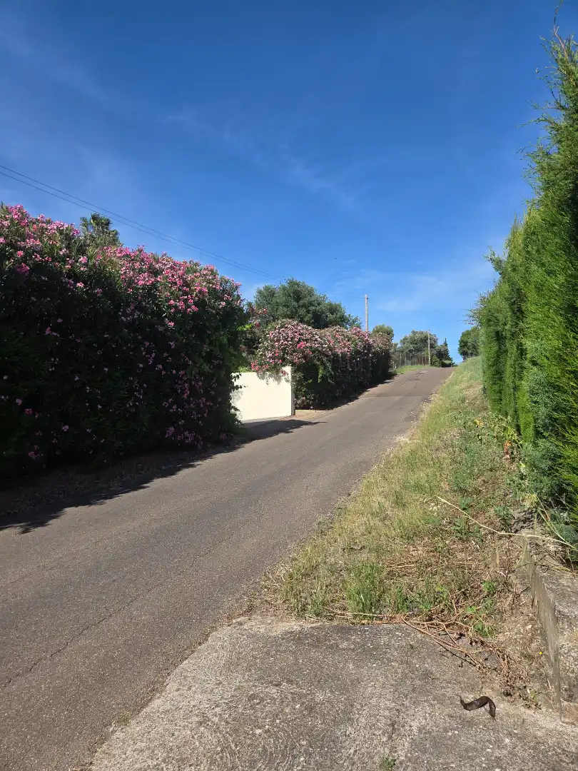 Exterior view of Houses for sale in Badajoz  with Private garden, Terrace and Storage room