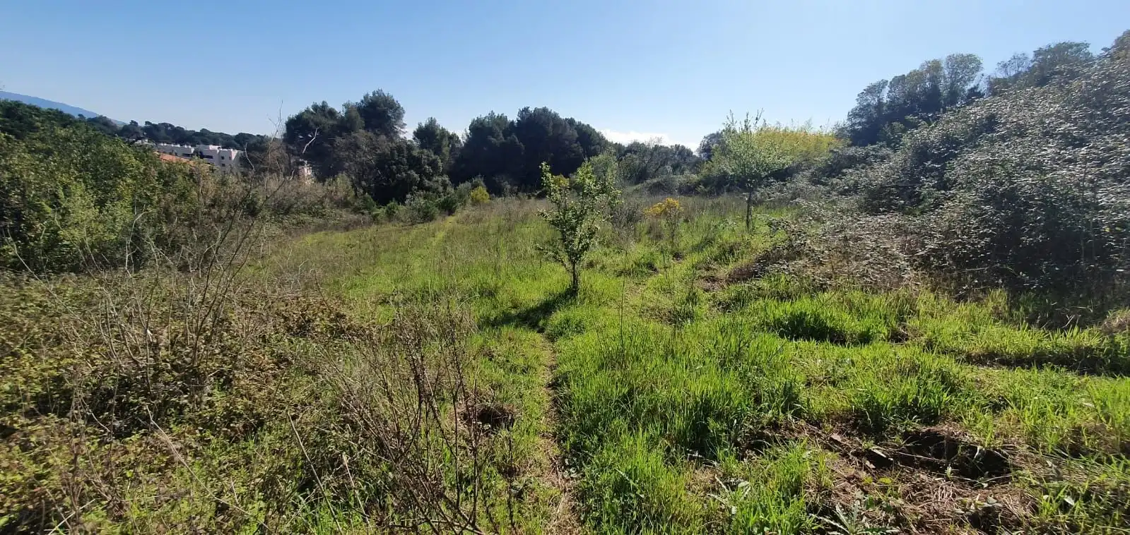 Grundstücke zum Verkauf in Dreta de l'Eixample