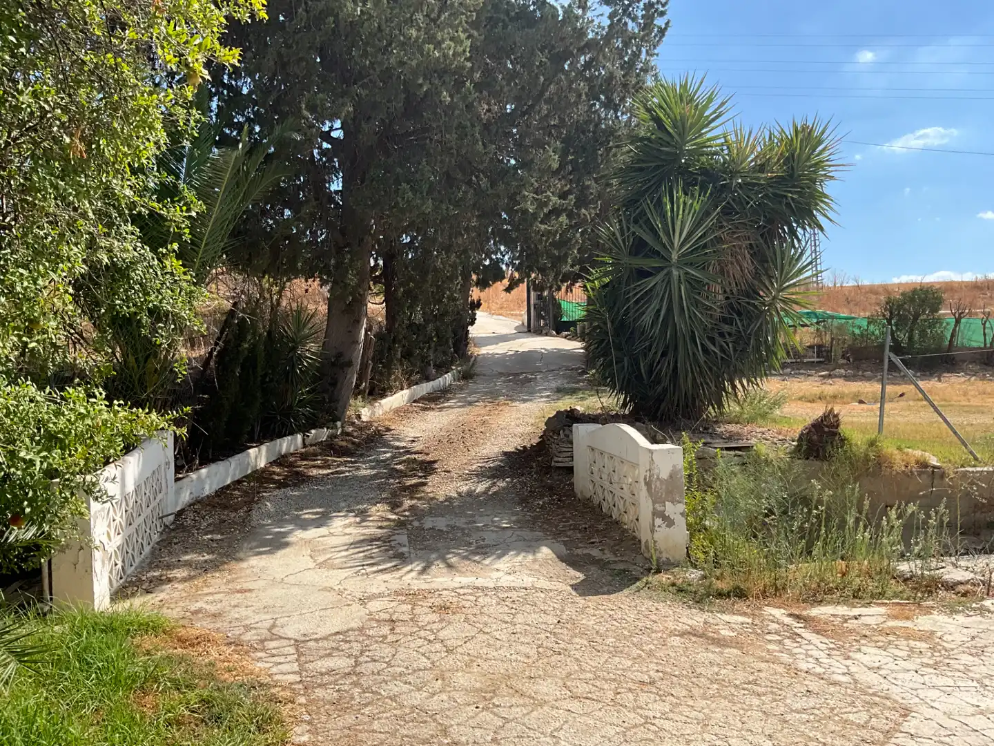 Vista exterior de Finca rústica en venda en Coín amb Jardí privat i Piscina
