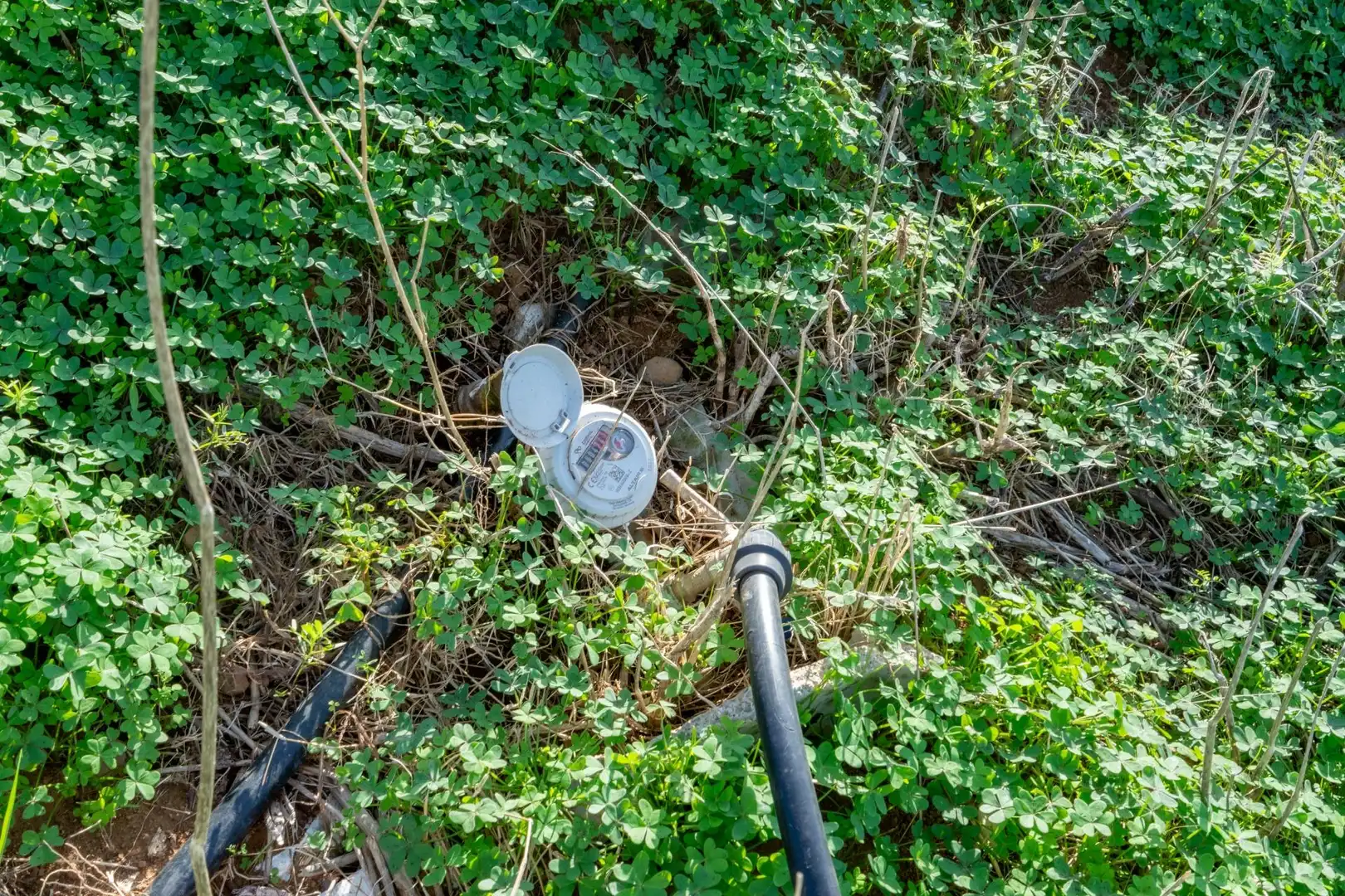 Exterior view of Land for sale in Tacoronte