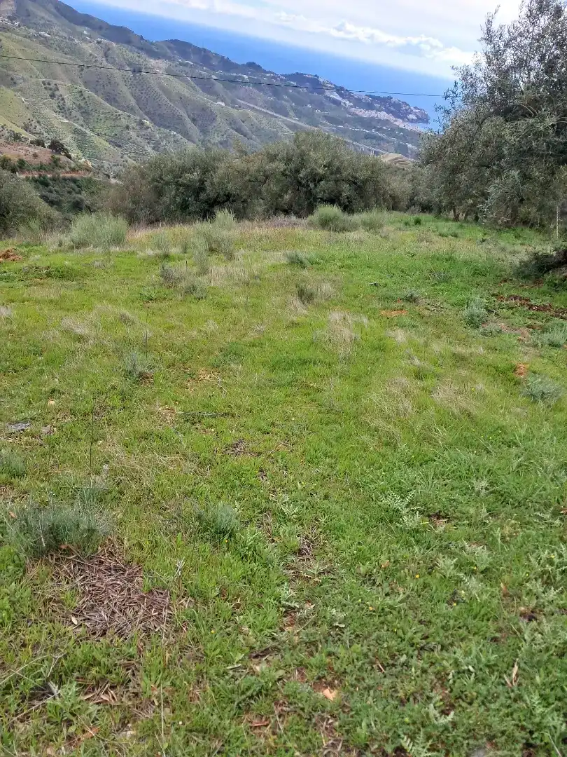 Finca rústica en venda en Almuñécar amb Traster, Moblat i Forn