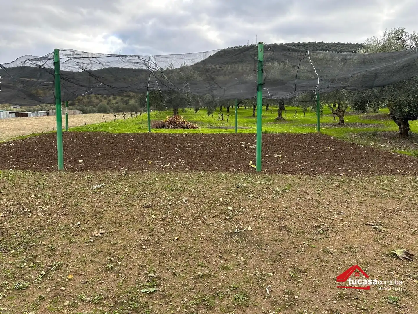 Terreno rustico in vendita a Villanueva del Rey, imagen 15