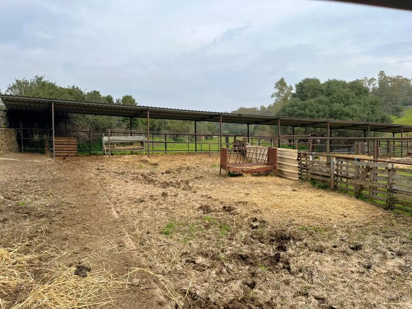 Country homes for sale in Jimena de la Frontera