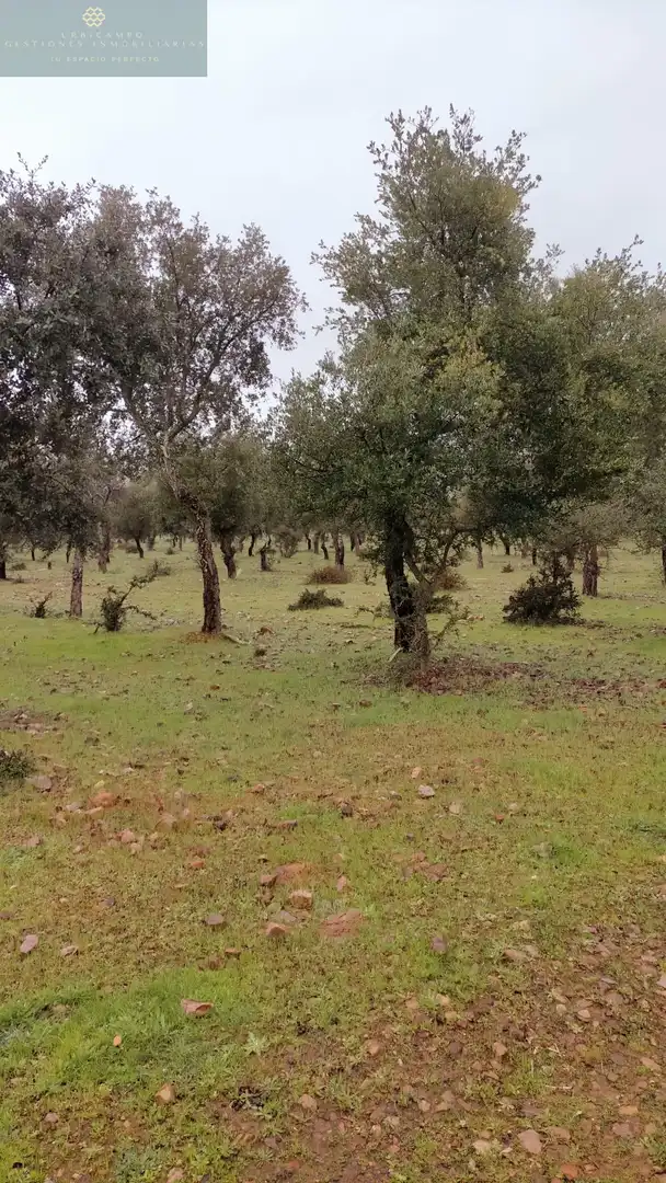 Finca rústica en venta en La Nava de Santiago  con Piscina