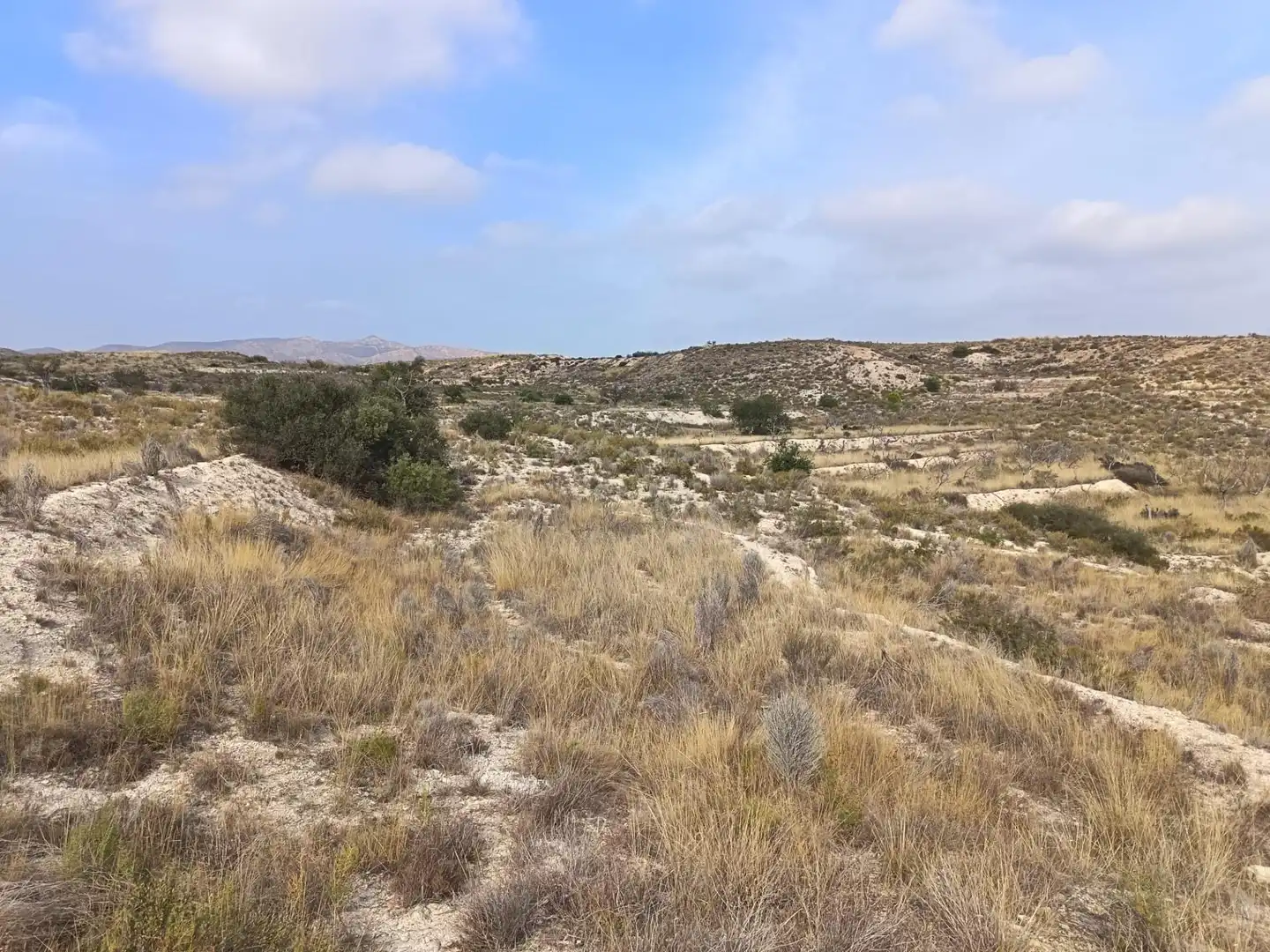 Residencial en venda en Alicante / Alacant