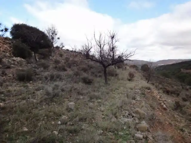 Terrenys i solars en venda a Paraje Vallota, imagen 6