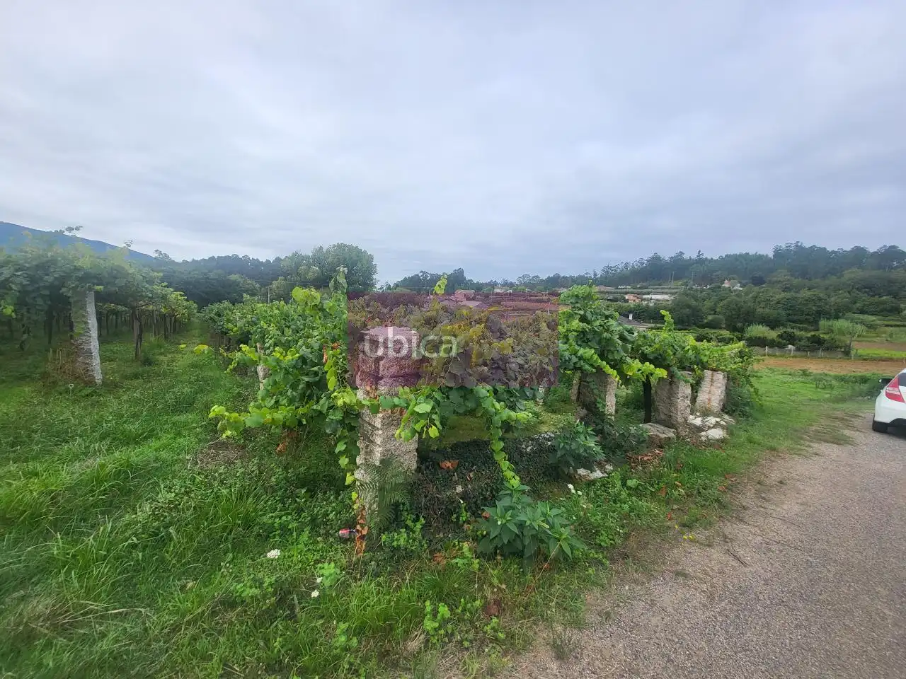 Residencial en venda en Salceda de Caselas, Pontevedra