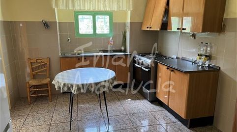 Foto 5 de Finca rústica en venta en Castillo de Locubín, Jaén