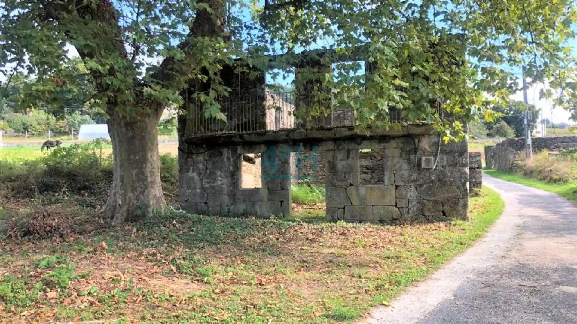 Vista exterior de Casa o chalet en venta en A Peroxa  con Jardín privado