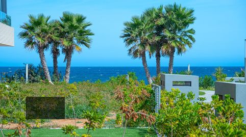 Foto 3 de Planta baixa en venda a Calle del Ciclón, Punta Prima, Torrevieja