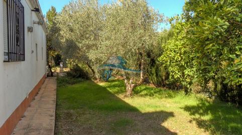 Foto 5 de Finca rústica en venda a Villanueva de la Reina, Jaén