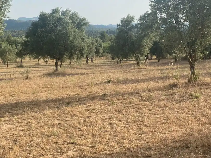 Rural land for sale in disseminat s/n, imagen 4