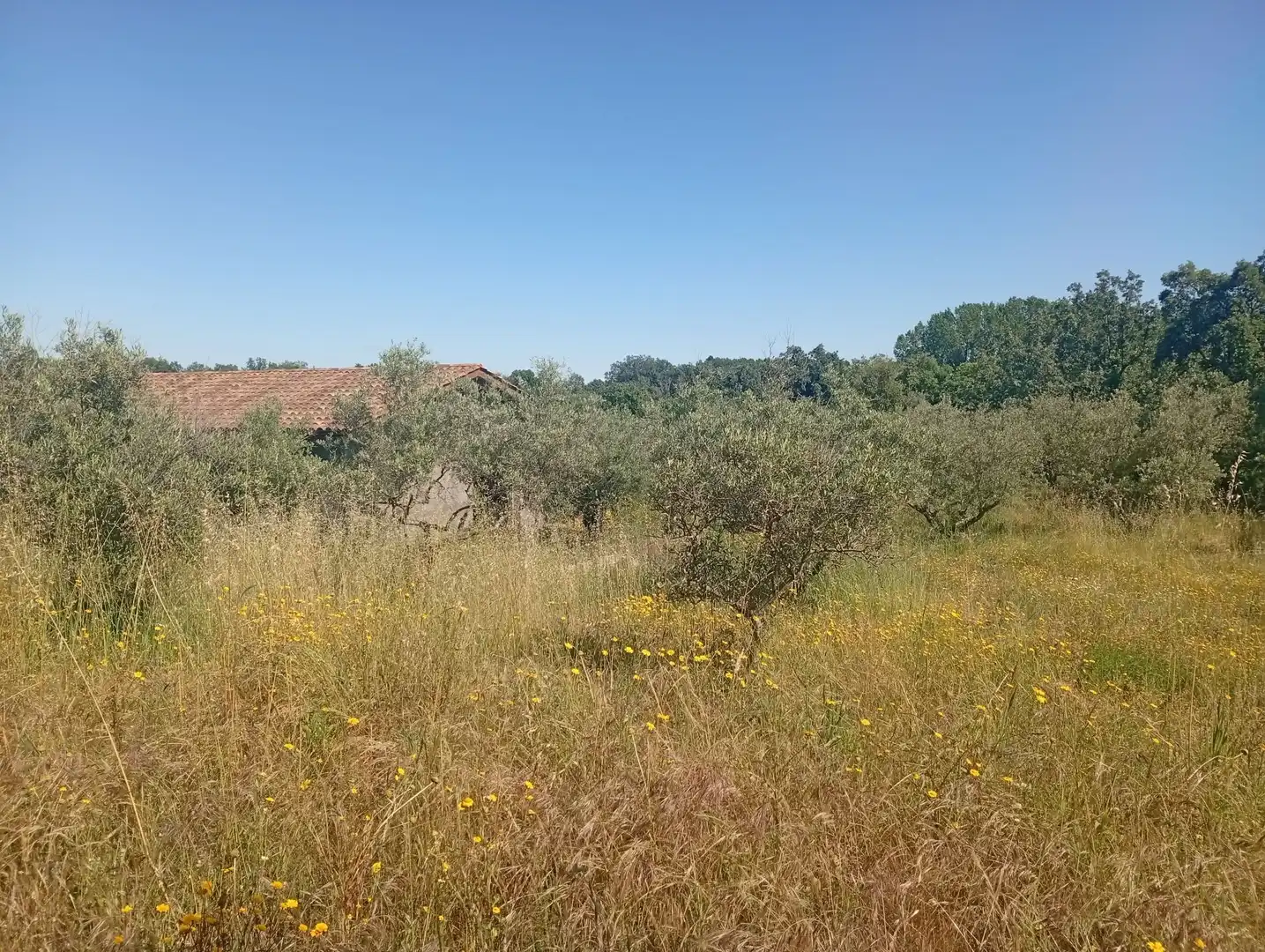 Maison à vendre à Villanueva de la Vera, imagen 68