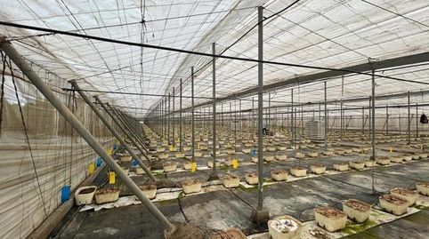 Foto 4 de Terreno en venta en Motril, Playa de Granada, Motril