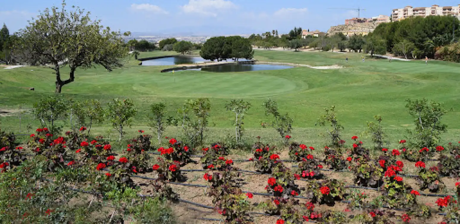 Garden of Houses for sale in Molina de Segura