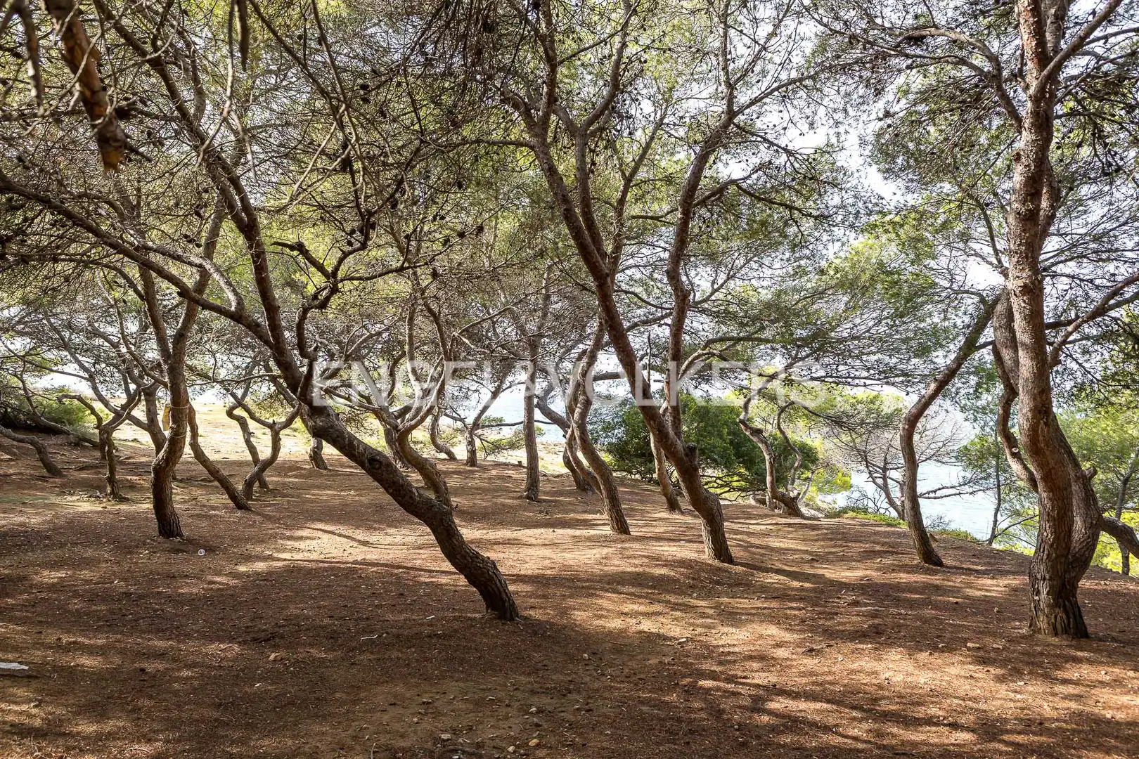Dúplex en venda en Torredembarra amb Aire condicionat, Calefacció i Jardí privat