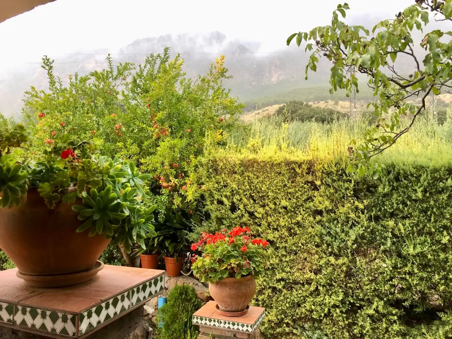 Jardí de Finca rústica en venda en Huelma, Jaén