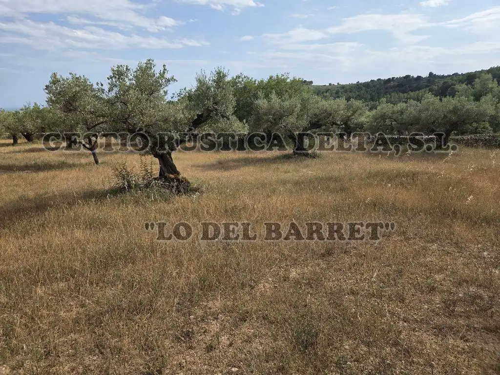 Finca rústica en venda en El Perelló