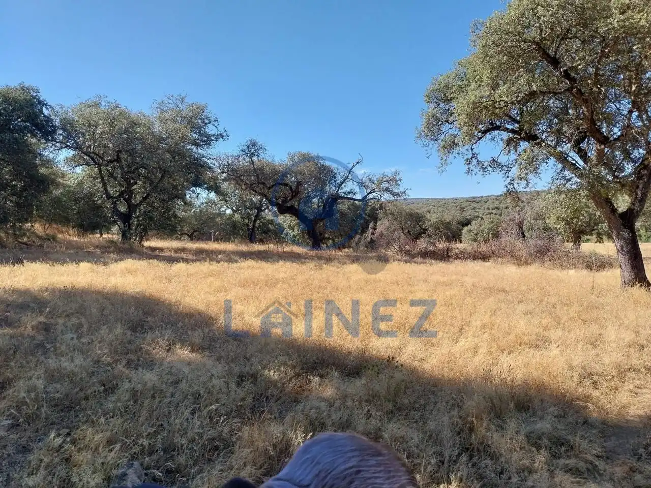 Lands and plots for sale in Fuente Obejuna, imagen 20