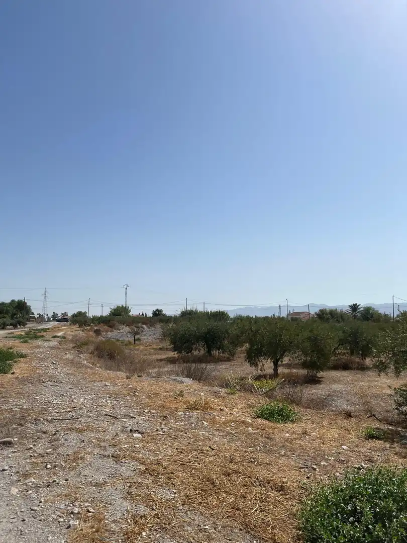 Rustikales Grundstück zum Verkauf in Camino TORRECILLA, imagen 12