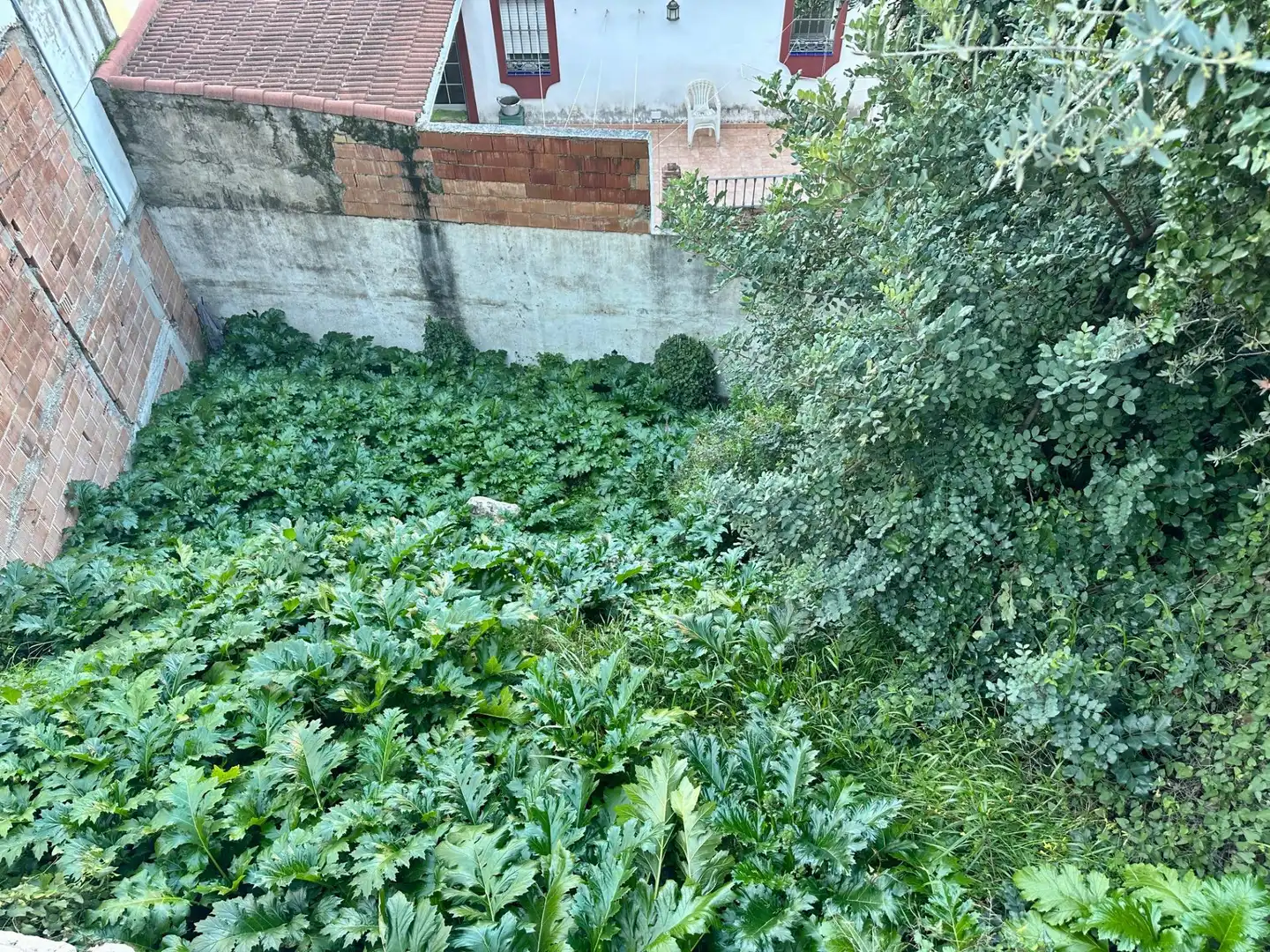 Terreni e lotti in vendita a Ojén pueblo, imagen 2