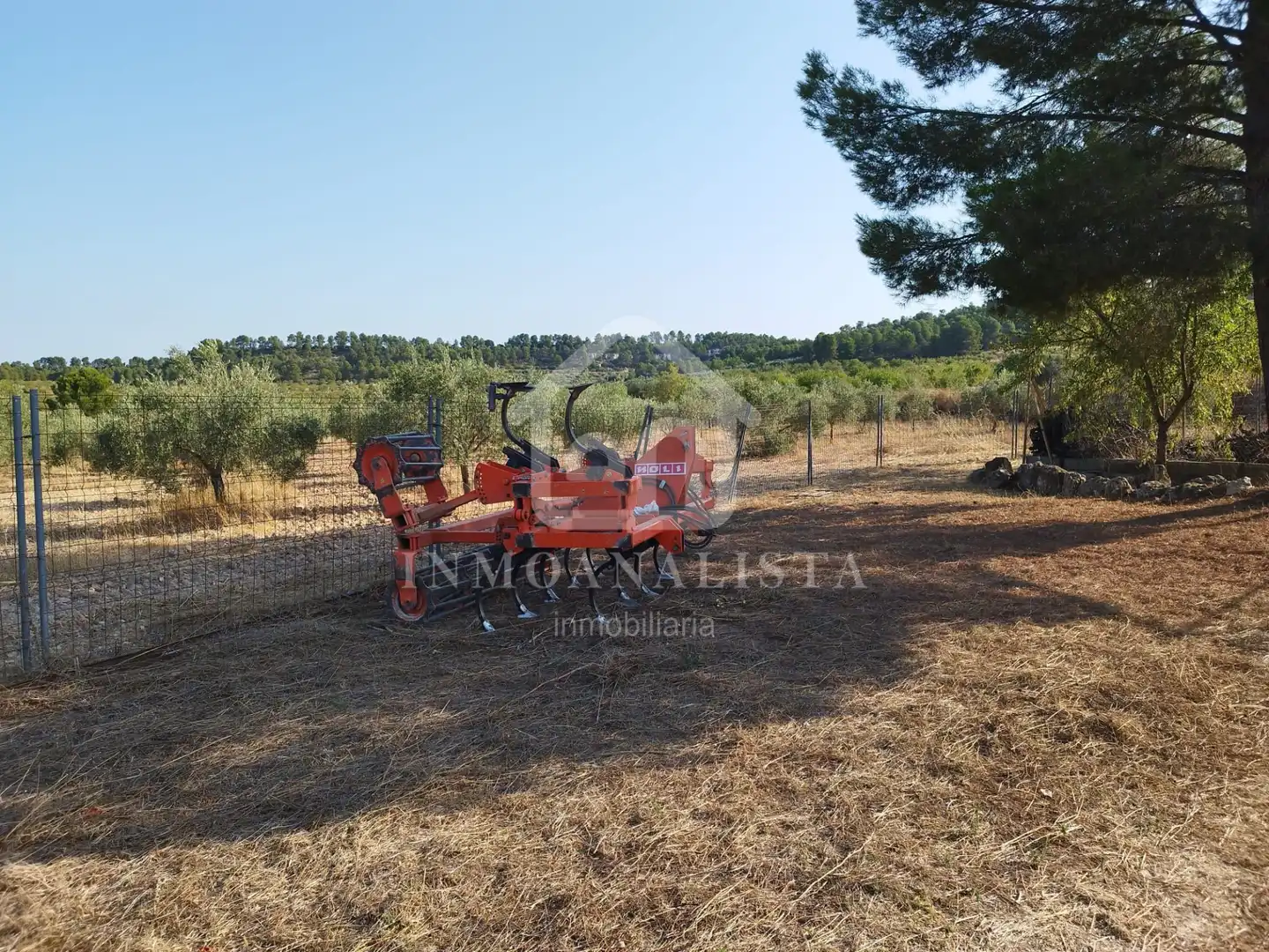 Rural land for sale in Cofrentes, imagen 27