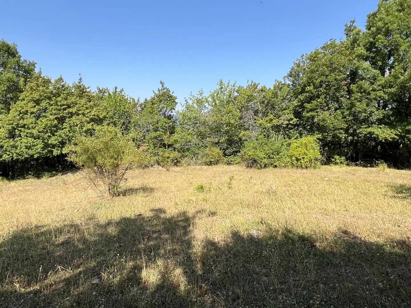 Land for sale in Broto
