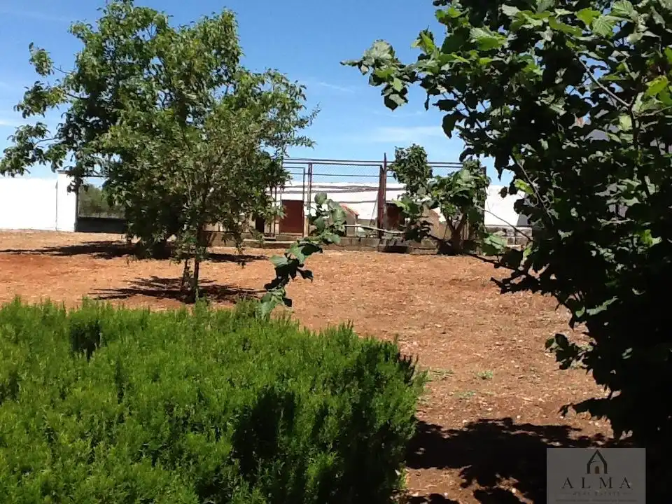 Jardín de Casa o chalet en venta en Almendralejo con Aire acondicionado, Calefacción y Terraza