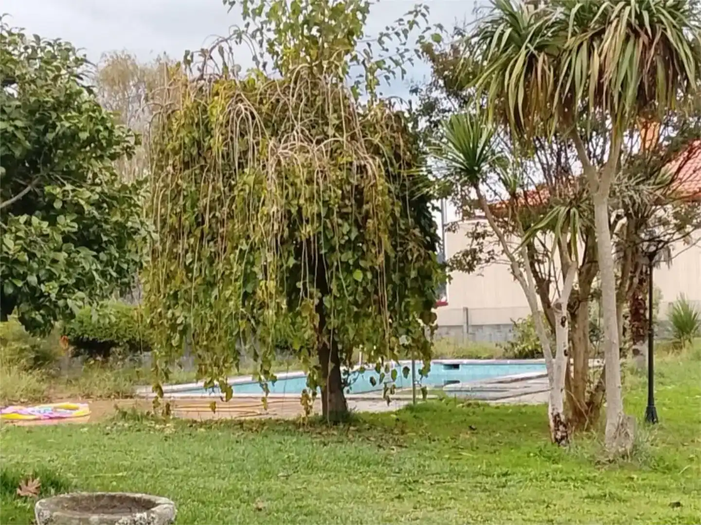 Piscina de Casa o xalet en venda en Pontevedra Capital  amb Jardí privat, Traster i Piscina